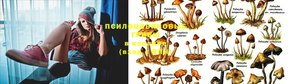 винт Ельня