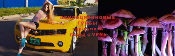 винт Ельня