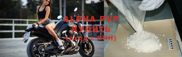 винт Ельня
