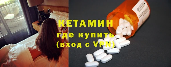 винт Ельня