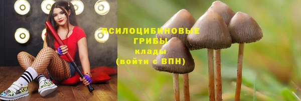твердый Елабуга