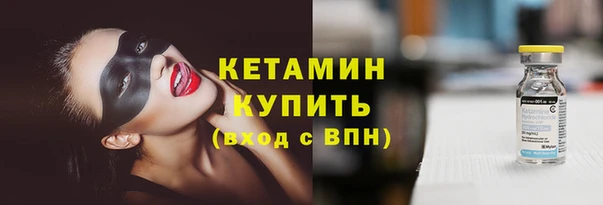 ГАЛЛЮЦИНОГЕННЫЕ ГРИБЫ Дмитриев