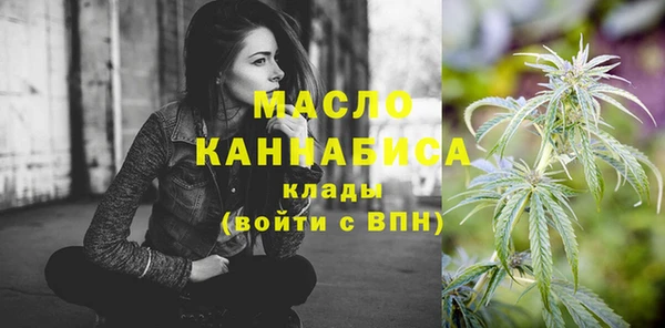 ГАЛЛЮЦИНОГЕННЫЕ ГРИБЫ Дмитриев