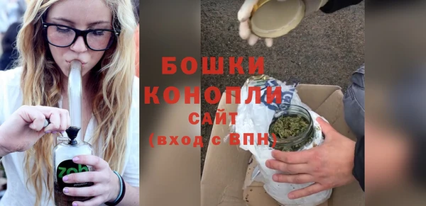 винт Ельня