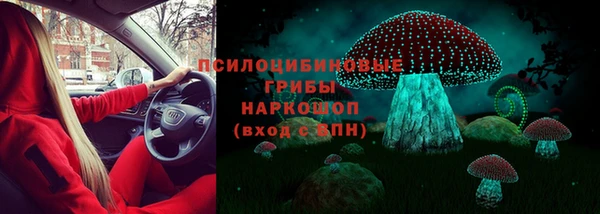 твердый Елабуга